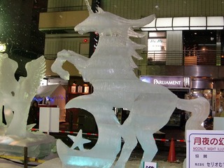 CIMG2709.jpg