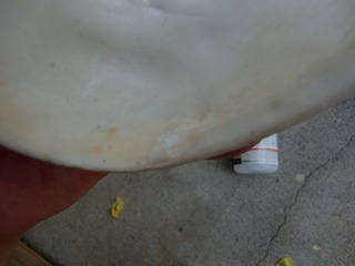 CIMG5270.jpg