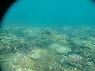 CIMG5846.jpg