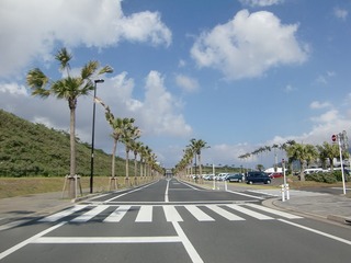 CIMG5861.jpg