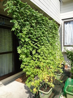 DSC00002.jpg