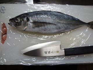 DSC01040.jpg