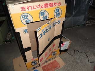 DSC01796.jpg
