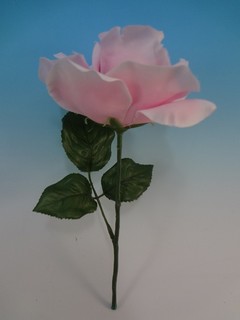 DSC02055.jpg